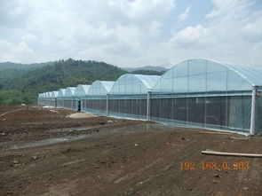 選擇睿農(nóng)溫室大棚設(shè)備 廣西大棚配件廠家的專(zhuān)業(yè)優(yōu)勢(shì)與價(jià)格指南