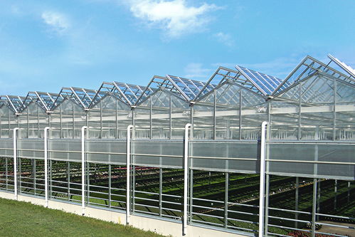 溫室的主要類(lèi)型、材料選擇及配套設(shè)施設(shè)計(jì)概述