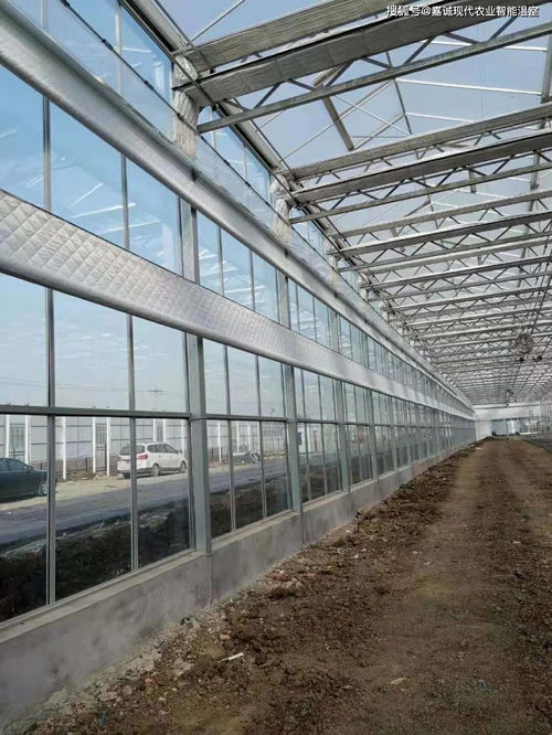 創(chuàng)新設(shè)計(jì)與科技融合 玻璃溫室大棚年供暖費(fèi)節(jié)省一半的關(guān)鍵