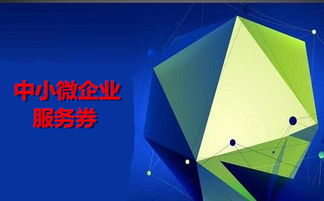 300萬元額度來襲 中小微企業(yè)信息技術咨詢服務券火熱申領中