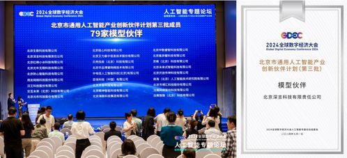 深言科技入選北京市通用人工智能產(chǎn)業(yè)創(chuàng)新伙伴計(jì)劃，賦能企業(yè)信息技術(shù)咨詢(xún)服務(wù)升級(jí)